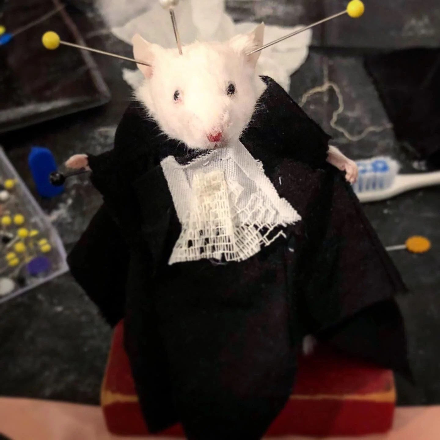  The Honorable Justice Rat Bader Ginsburg 