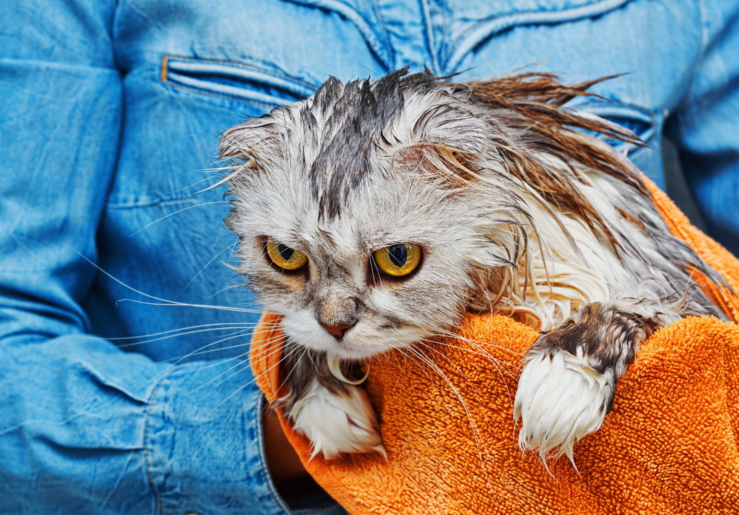  You would be mad, too, if you had to live with the kind of guy who leaves one-star rants online. 