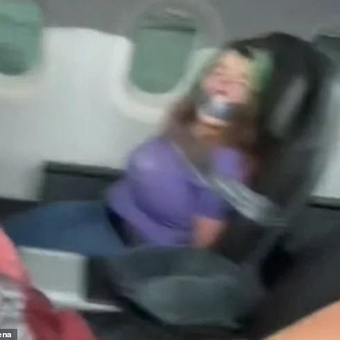 Legal Question: Consequences for Airplane&nbsp;Shenanigans